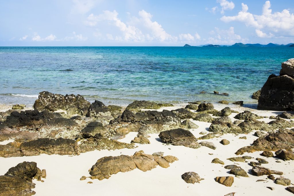 Explora la Costa Dorada con Bruixa de Mar